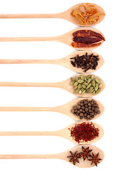 Image showing Spice Collection