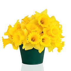 Image showing Daffodil Flower Beauty