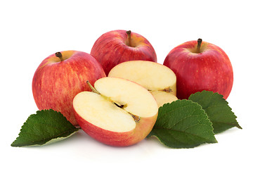 Image showing Gala Apples