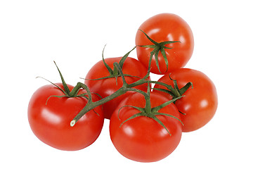 Image showing Five tomatos with twig