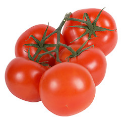 Image showing Five tomatos with twig