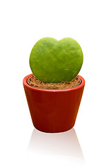 Image showing heart shaped cactus