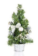 Image showing Christmas firtree