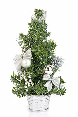 Image showing Christmas firtree 