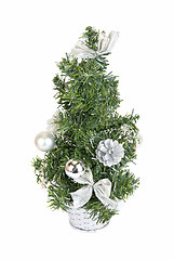 Image showing Christmas firtree isolated 