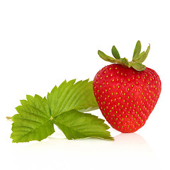 Image showing Strawberry Fruit