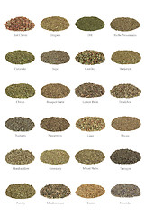 Image showing Medicinal and Culinary Herbs  