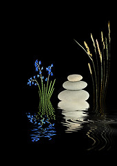 Image showing Zen Garden Beauty