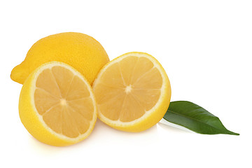 Image showing Lemon Fruit