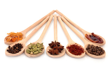 Image showing Spice Selection