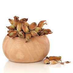 Image showing Cob Nuts