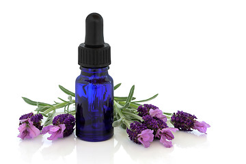 Image showing Lavender Herb Flower Essence