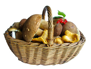 Image showing Basket full of mushrooms