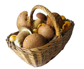 Image showing Basket full of mushrooms