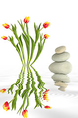 Image showing Zen Garden Beauty