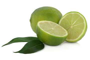Image showing Lime Fruit