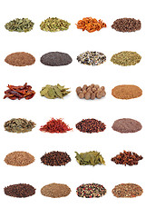 Image showing Spice and Herb Collection