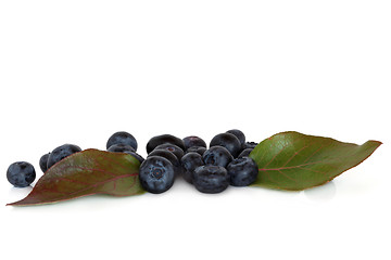 Image showing Blueberry Fruit