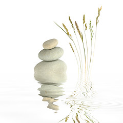 Image showing Zen Simplicity