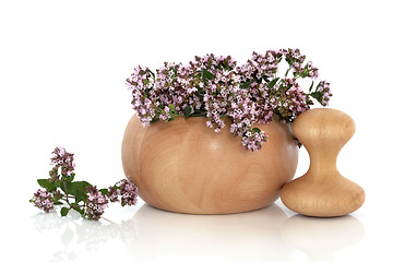 Image showing Marjoram Herb Flowers  