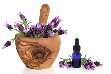 Image showing Lavender Flowers and Essence