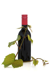 Image showing Red Wine and Grape Leaves