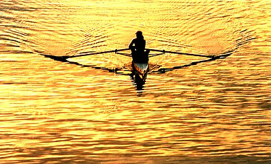 Image showing Rower