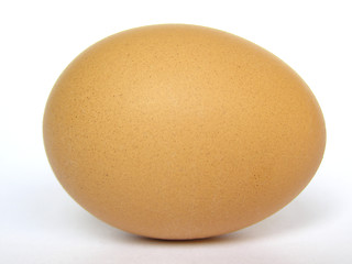 Image showing Egg