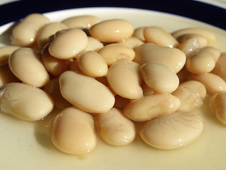 Image showing Beans