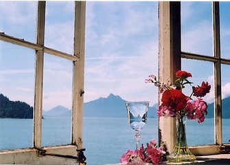 Image showing Window with red flowers