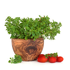 Image showing Basil Herb and Tomatoes