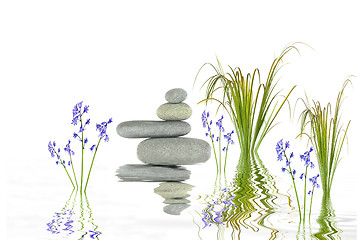 Image showing Zen Garden  