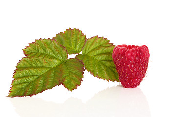 Image showing Raspberry Fruit