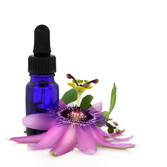 Image showing Passion Flower Essence