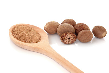 Image showing Nutmeg Spice