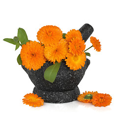 Image showing Calendula Flowers  