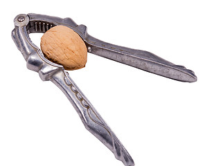 Image showing instrument for prick nut