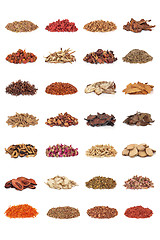 Image showing Chinese Medicinal Herbs  