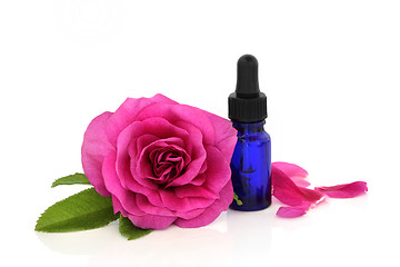 Image showing Rose Flower Essential Oil