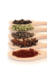 Image showing Spice Selection