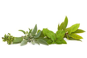 Image showing Thyme, Sage, Oregano and Bay Herbs