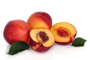 Image showing Nectarine Fruit