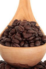 Image showing Coffee Beans