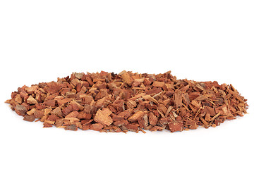 Image showing Oak Bark Herbal Medicine