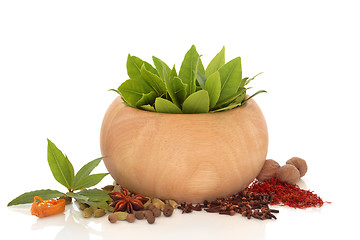 Image showing Herb and Spice Selection