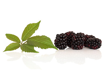 Image showing Blackberry Fruit