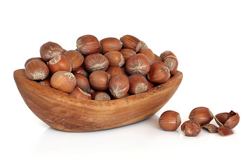 Image showing Hazelnuts