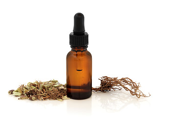 Image showing Valerian Root and Tincture Bottle