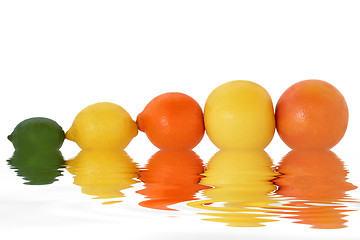 Image showing Fresh Citrus Fruits