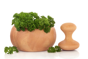 Image showing Parsley Herb Leaves